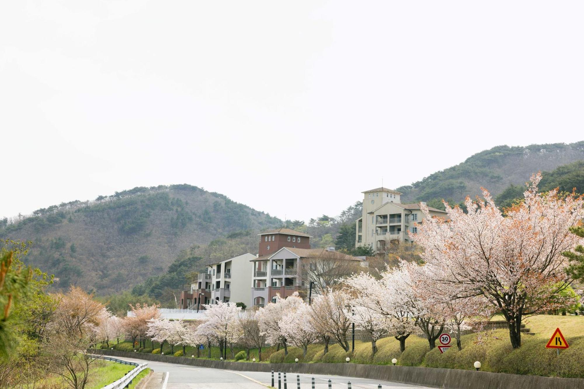 Gyeongju Mauna Ocean Resort Exteriör bild