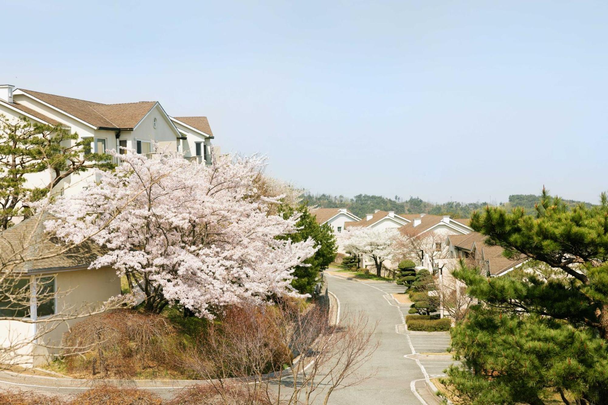 Gyeongju Mauna Ocean Resort Exteriör bild