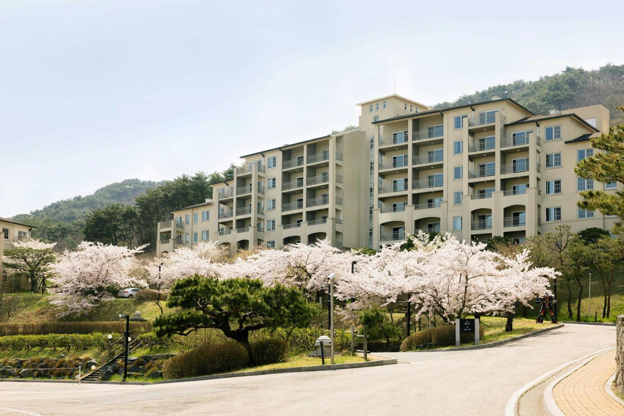 Gyeongju Mauna Ocean Resort Exteriör bild